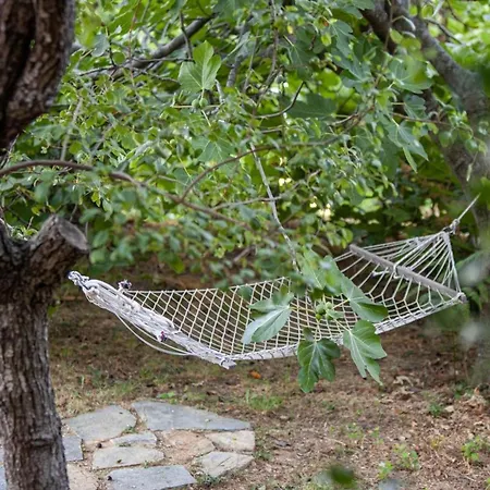 Meli Sea-view 別荘